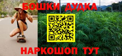 молекула духа Будённовск