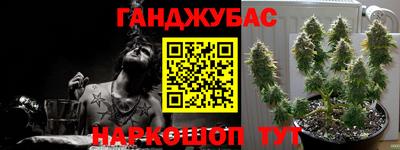 молекула духа Будённовск