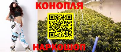 молекула духа Будённовск
