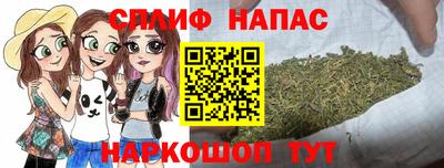 молекула духа Будённовск