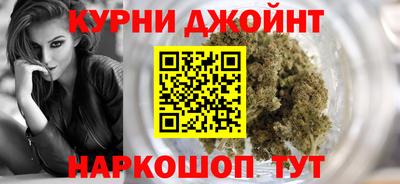 молекула духа Будённовск