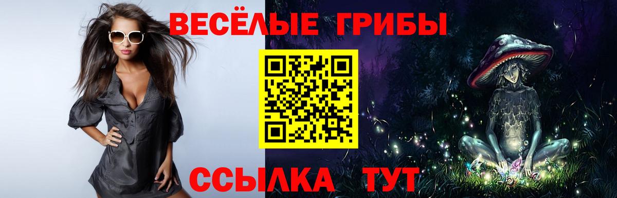 Ртищево  Псилоцибиновые грибы Psilocybe  Вход с VPN 