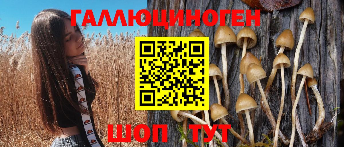 Псилоцибиновые грибы прущие грибы Ртищево